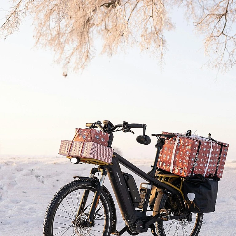 Optimiser l'utilisation du vélo professionnel pour le transport de marchandises