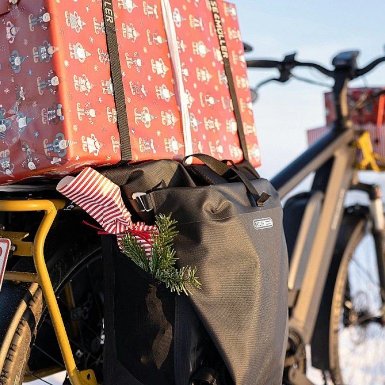 Babboe : le vélo cargo qui change la donne